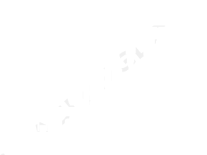 Koen De Waele showjumping horses